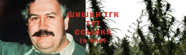 тгк Армянск