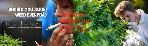 дживик Аркадак