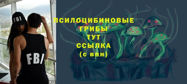 тгк Армянск