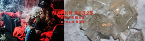 дживик Аркадак