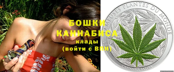 дживик Аркадак