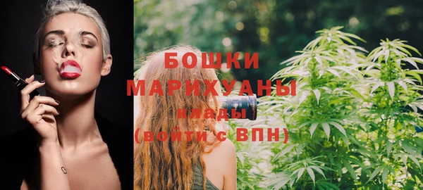 дживик Аркадак