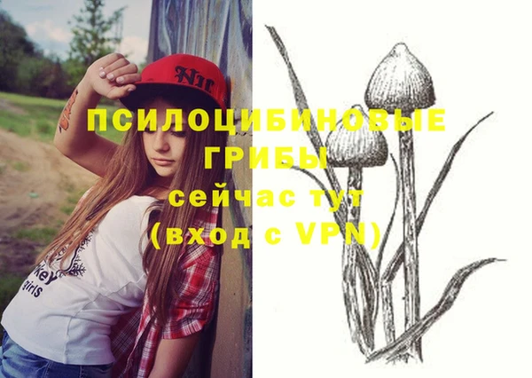тгк Армянск