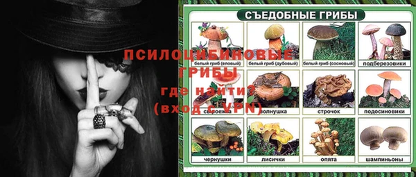 дживик Аркадак